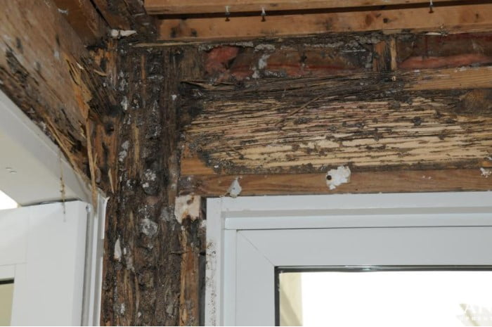 Close-up photo of a door frame with visible dry rot damage, including discolored and cracked wood with a powdery texture.