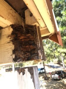 deck-beam-dry-rot-damage