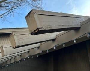 dry-rot-rafter-beams