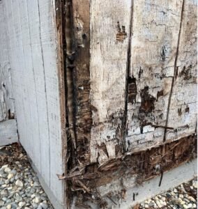 dry-rot-siding