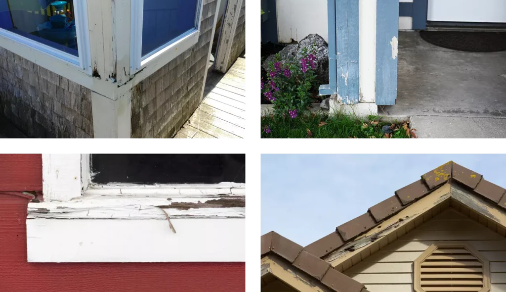 auburn-dry-rot-6938651a000ec