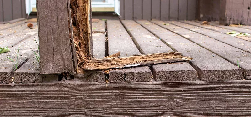 decks-porches-69386519daf35