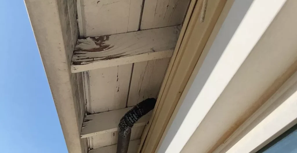 flexible-financing-for-dry-rot-fix-1-6938651b0b489