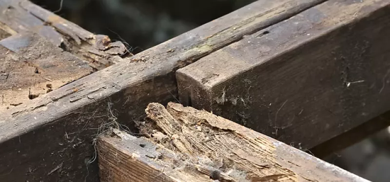 outdoor-structures-6938651c296cd