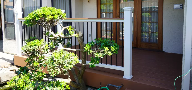 deck-6-69b81f6c78d0c