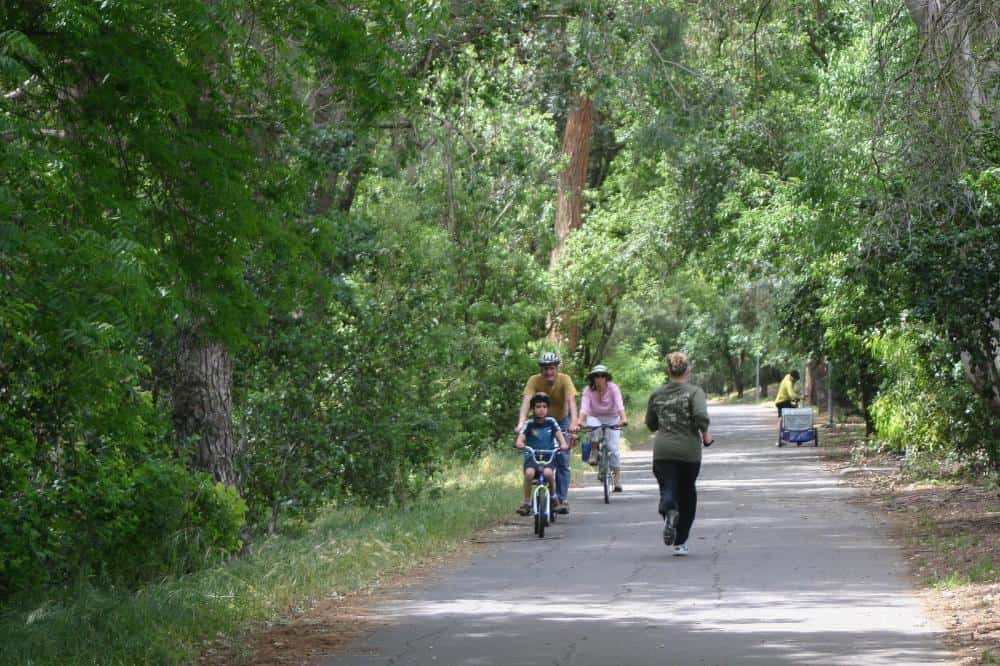 Greenbelt-adjacent homes in Davis