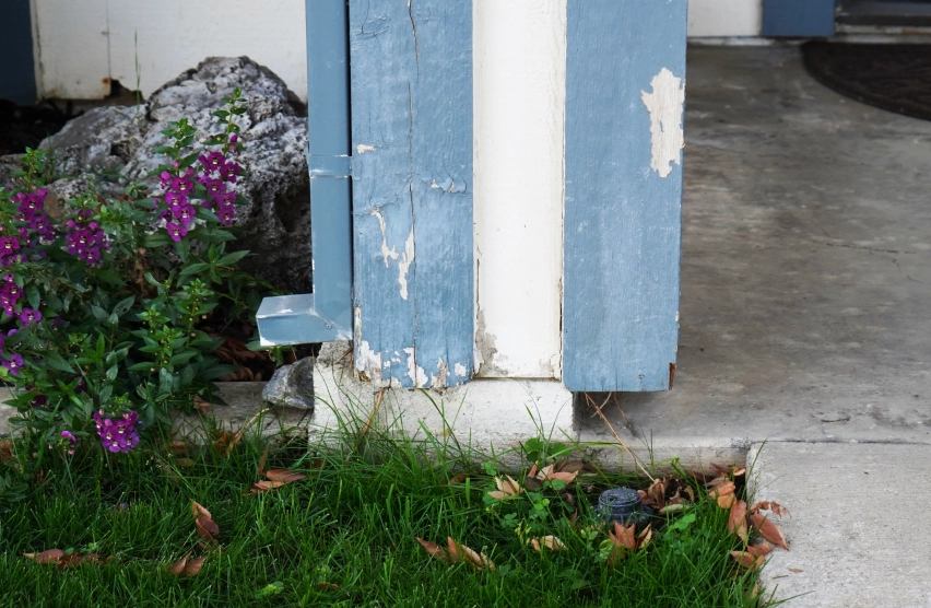 Dry rot damage behind exterior siding and along softened trim and fascia boards
