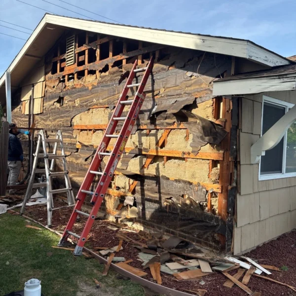 Damaged siding removed to expose wall structure
