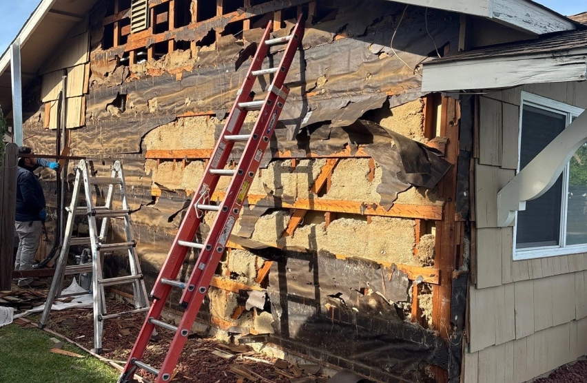 Section of exterior siding opened to reveal and repair dry rot damage