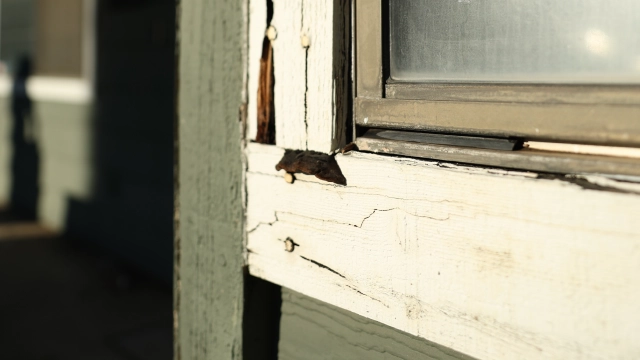 Trim, fascia, and dry rot correction