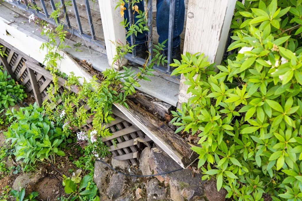 Isolated siding damage that only needs repair Close-up of cracked wood deck boards fading from sun exposure