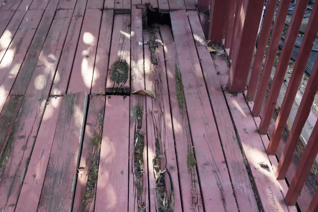 Homeowner pressing screwdriver into soft deck board near ledger