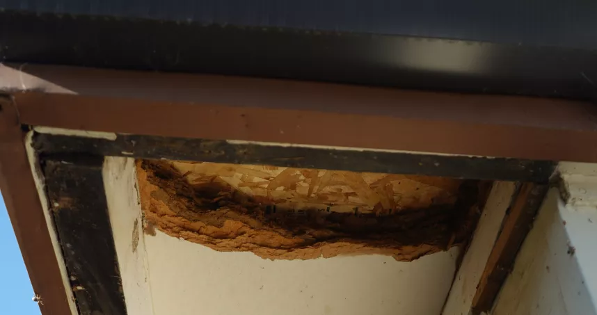 Sacramento home showing worn exterior siding before replacement.