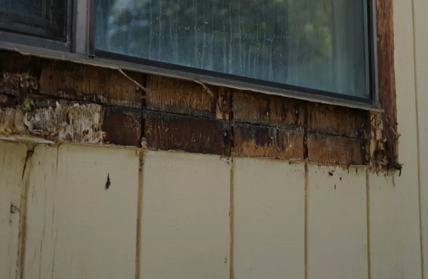 Rotted window sill and trim on a Folsom home before window replacement